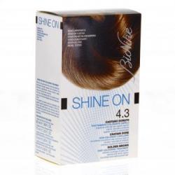 BIONIKE colorante Cura dei capelli Shine On Golden Brown No 4.3: 1 crema colorante 50ml 75ml sviluppatore 1 + 1 riequilibrio maschera bustina 15ml + 1 paio di guanti